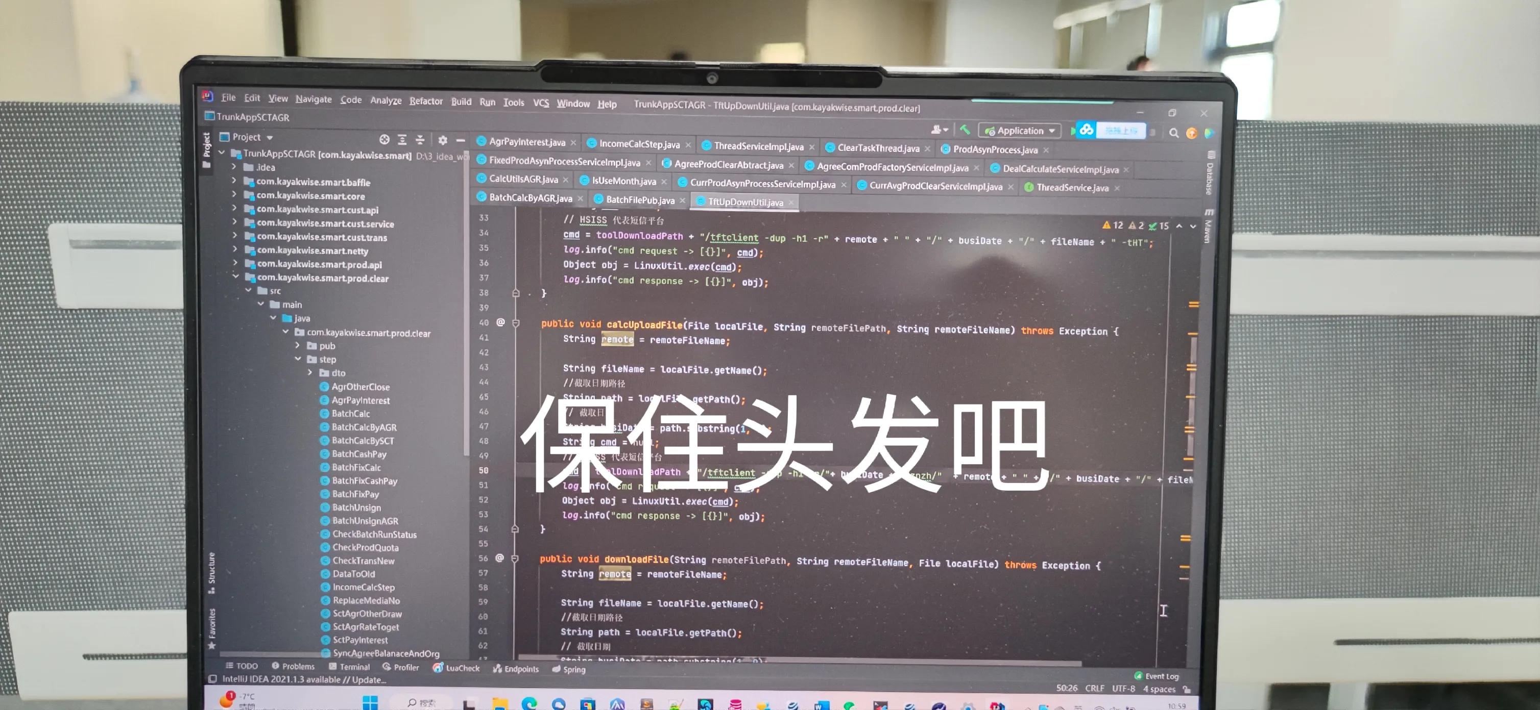 沈阳程序员招聘,沈阳程序员真实情况