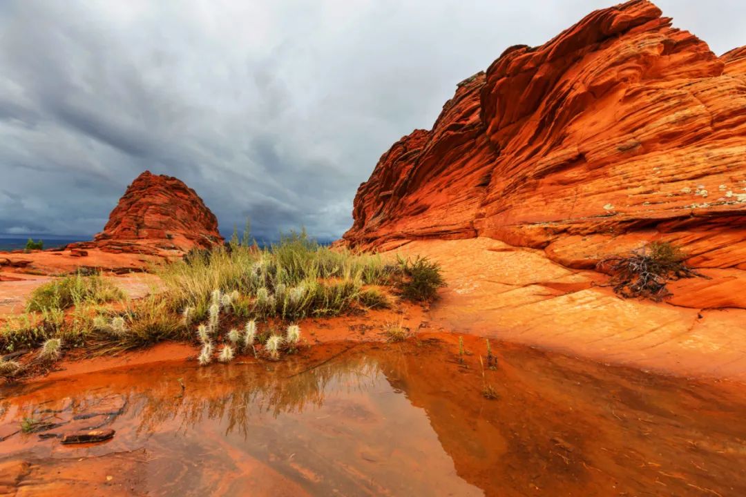 真实的美国凤凰城,美国凤凰城为什么叫凤凰城