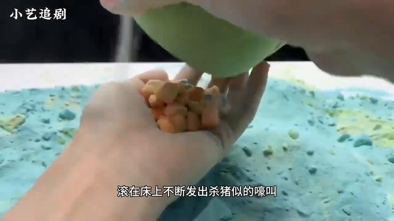 请在抖音小程序搜索竹节文学进入输入口令i53118看后续吧！