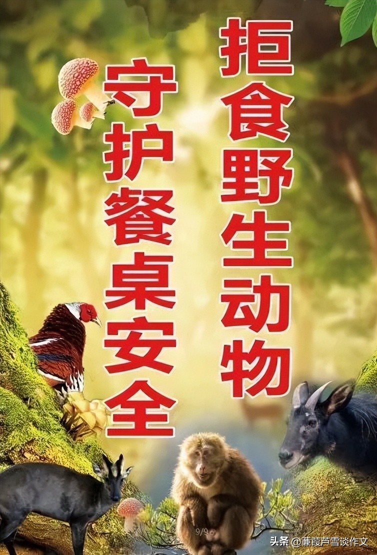 抗疫雷锋精神作文,抗疫作文小学600字