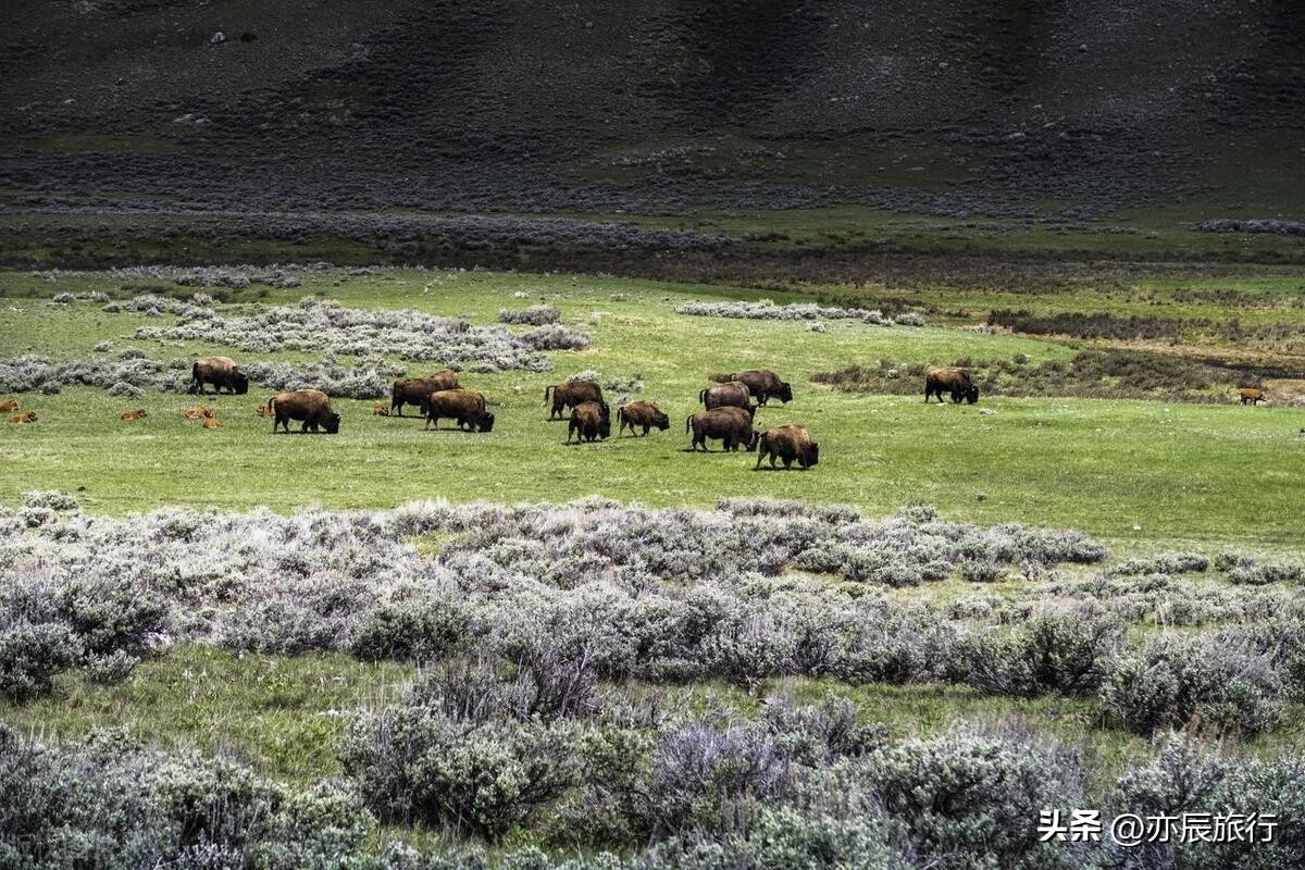 美国十大游玩城市,美国7月份最佳旅游景点