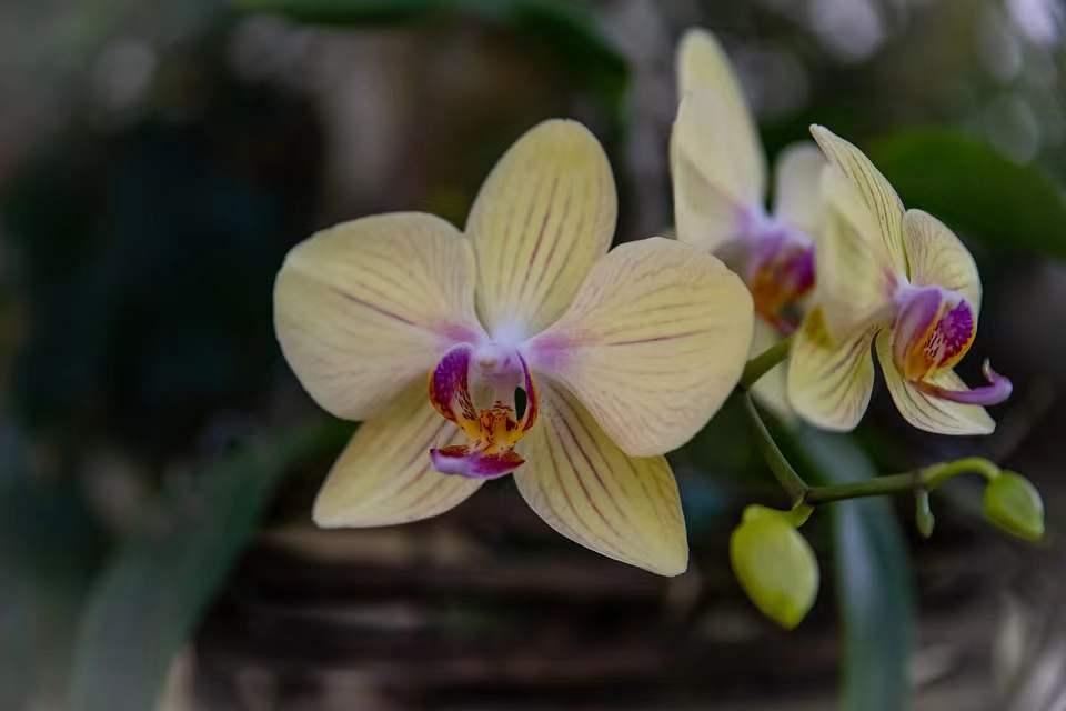 与人交往中如何识人,如何知道对方是否值得深交