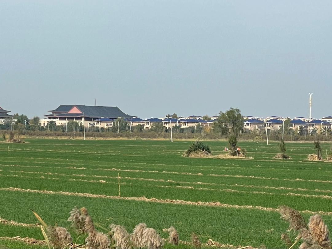 环渤海湾骑行记,环山东骑行日记青岛平度市