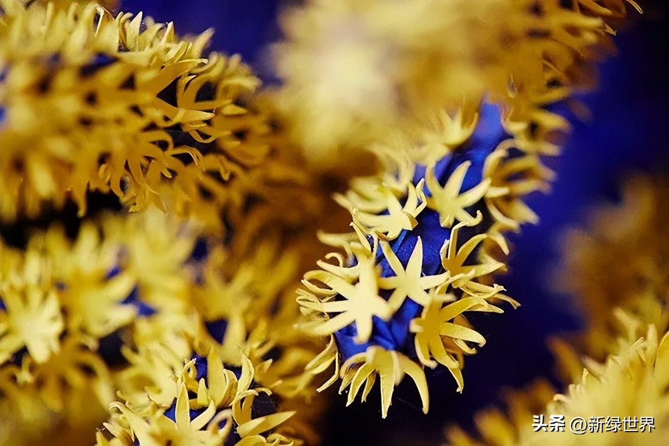 一组纸艺作品,令人惊艳的纸艺作品