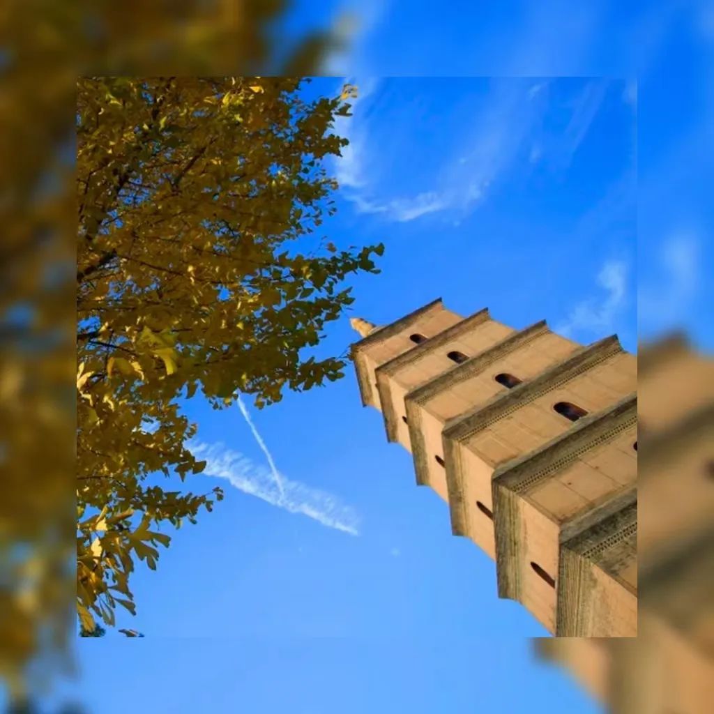 什么！唐朝人居然也爱喝奶茶？