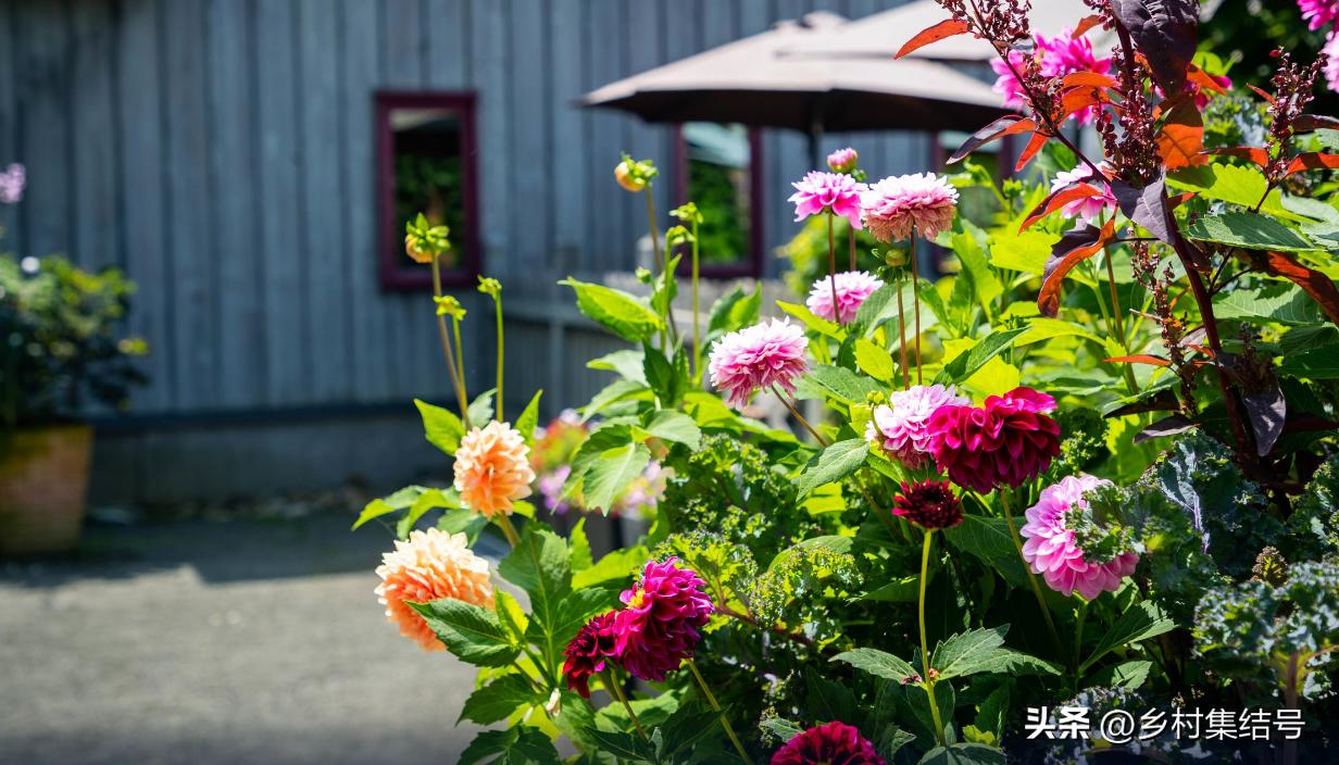 北海道上野农场,日本北海道上野农场