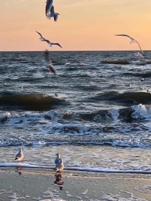 真正能赚钱的人,很会赚钱的人是怎样的