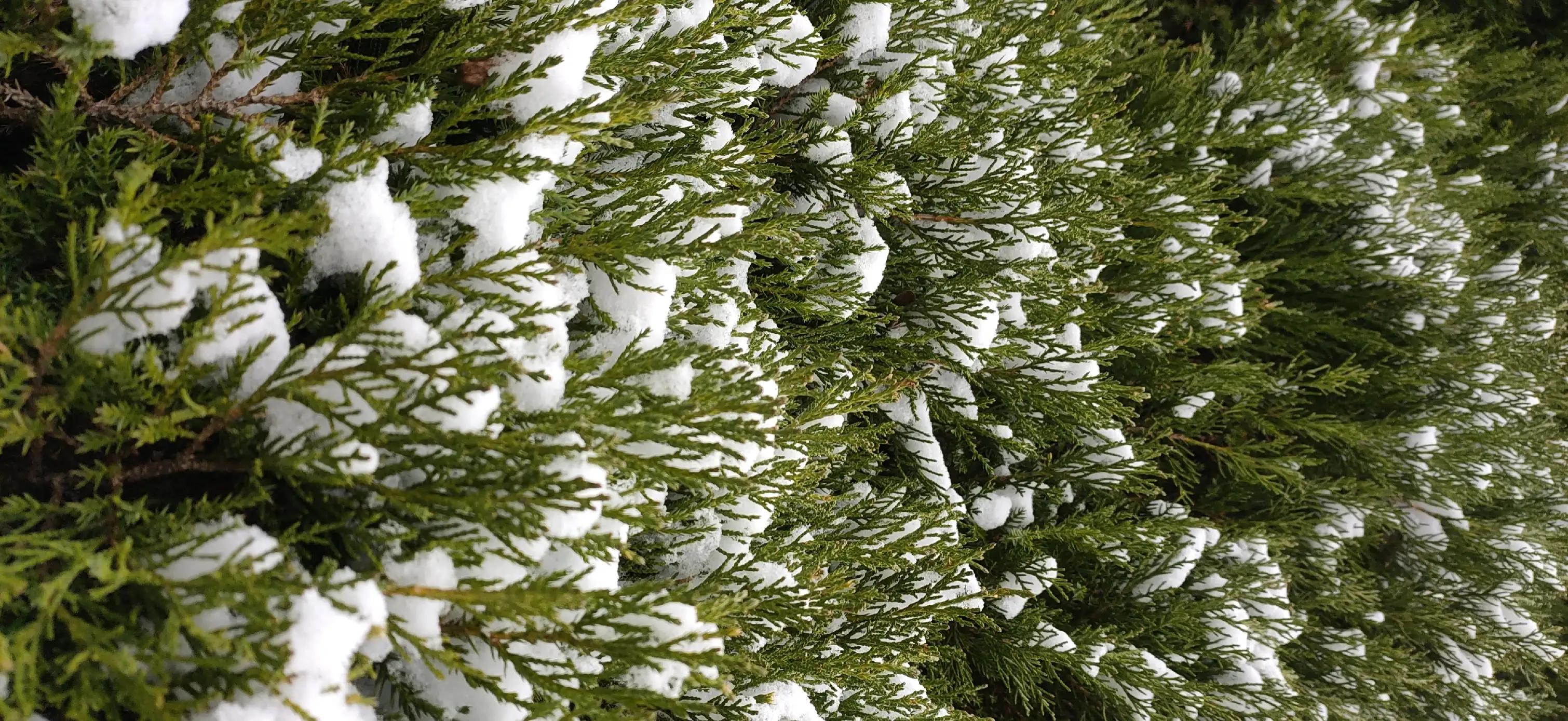 闄や簡閯欒杩樻槸閯欒,娌夐粯灏辨槸閯欒