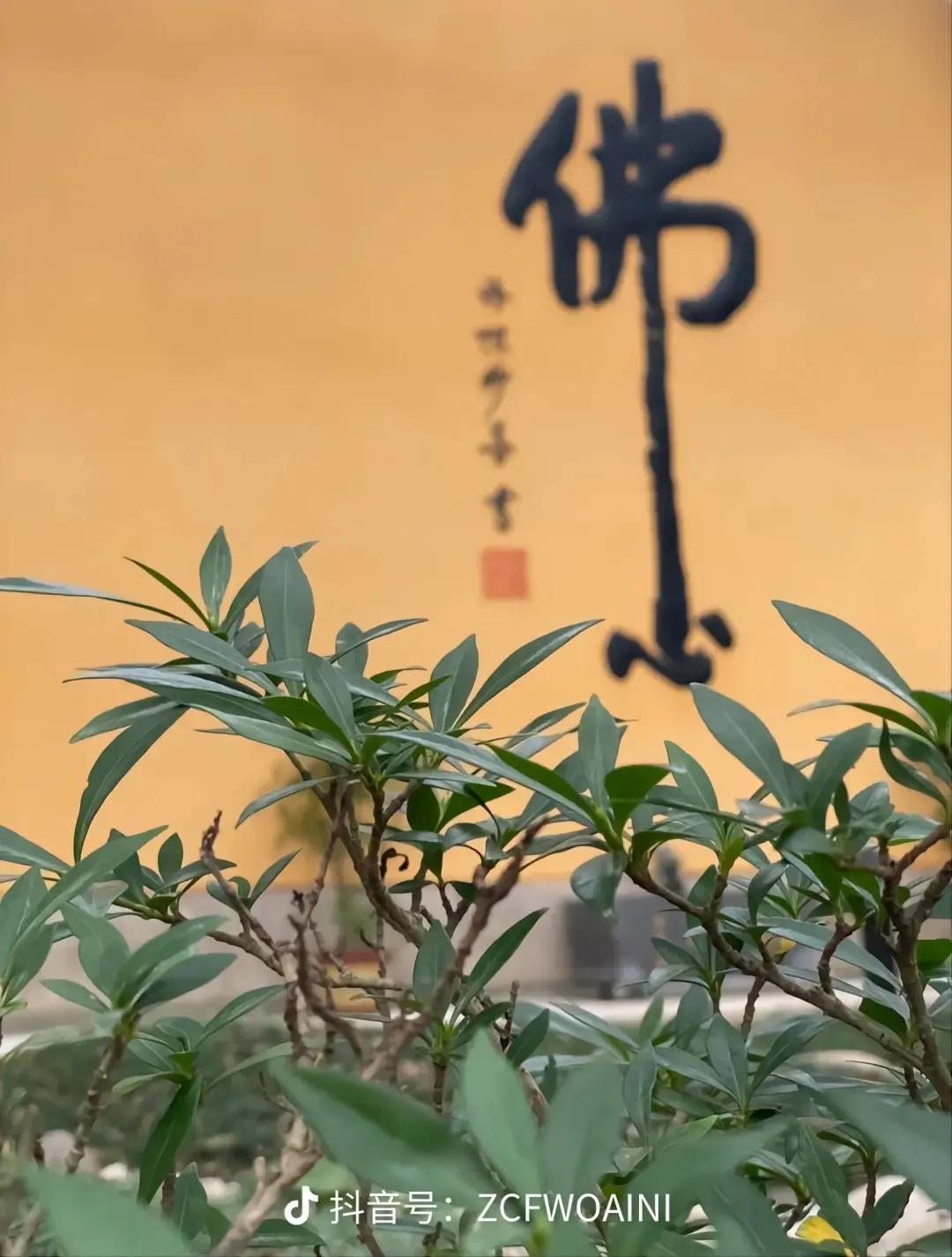 企查查上的涉诉信息从哪里能查到,企查查的企业变更记录怎么消除