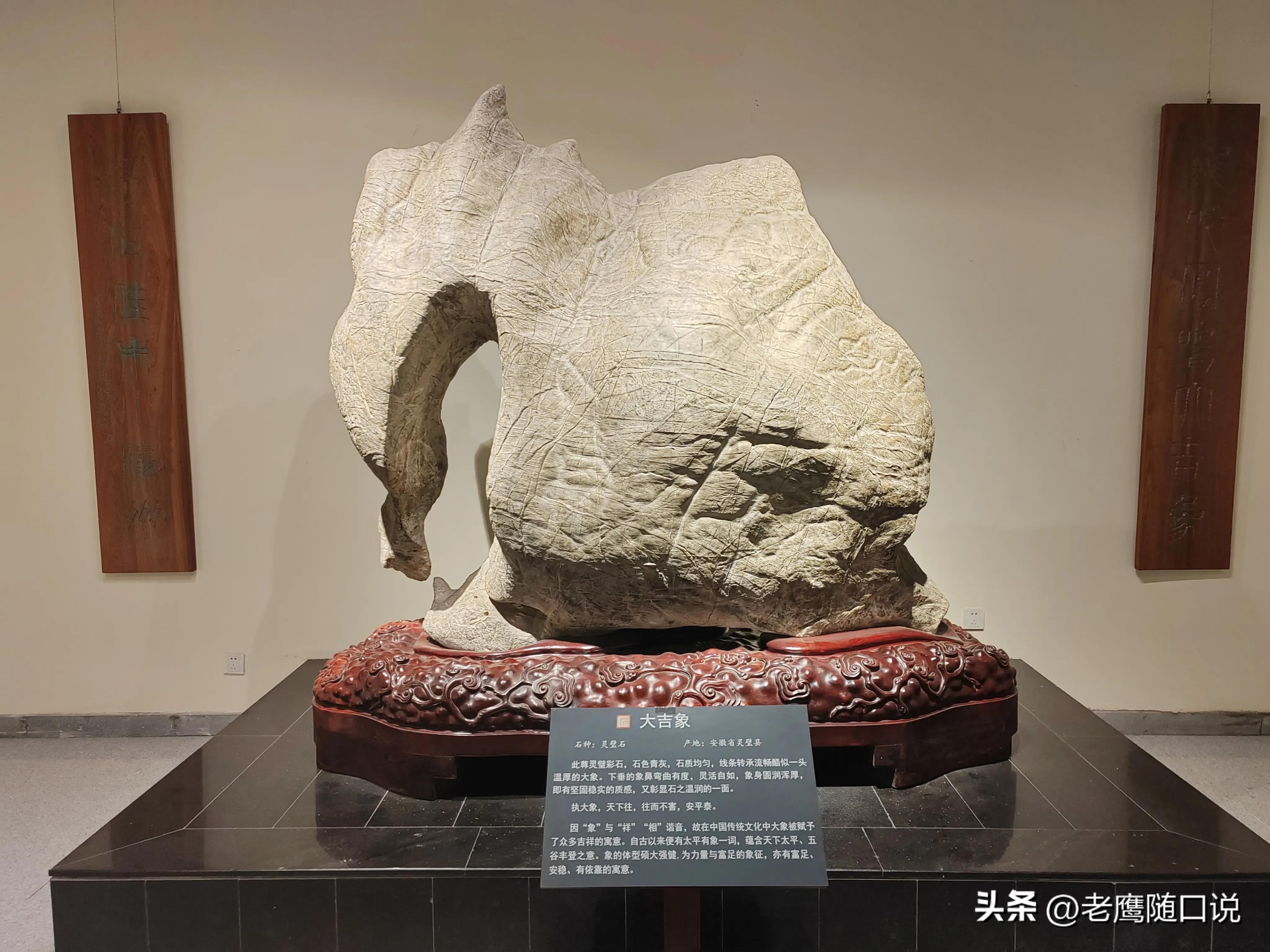 参观青岛博物馆,参观青岛葡萄酒博物馆感受