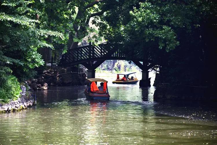 100首关于春天的经典诗词,经典诗词十首春