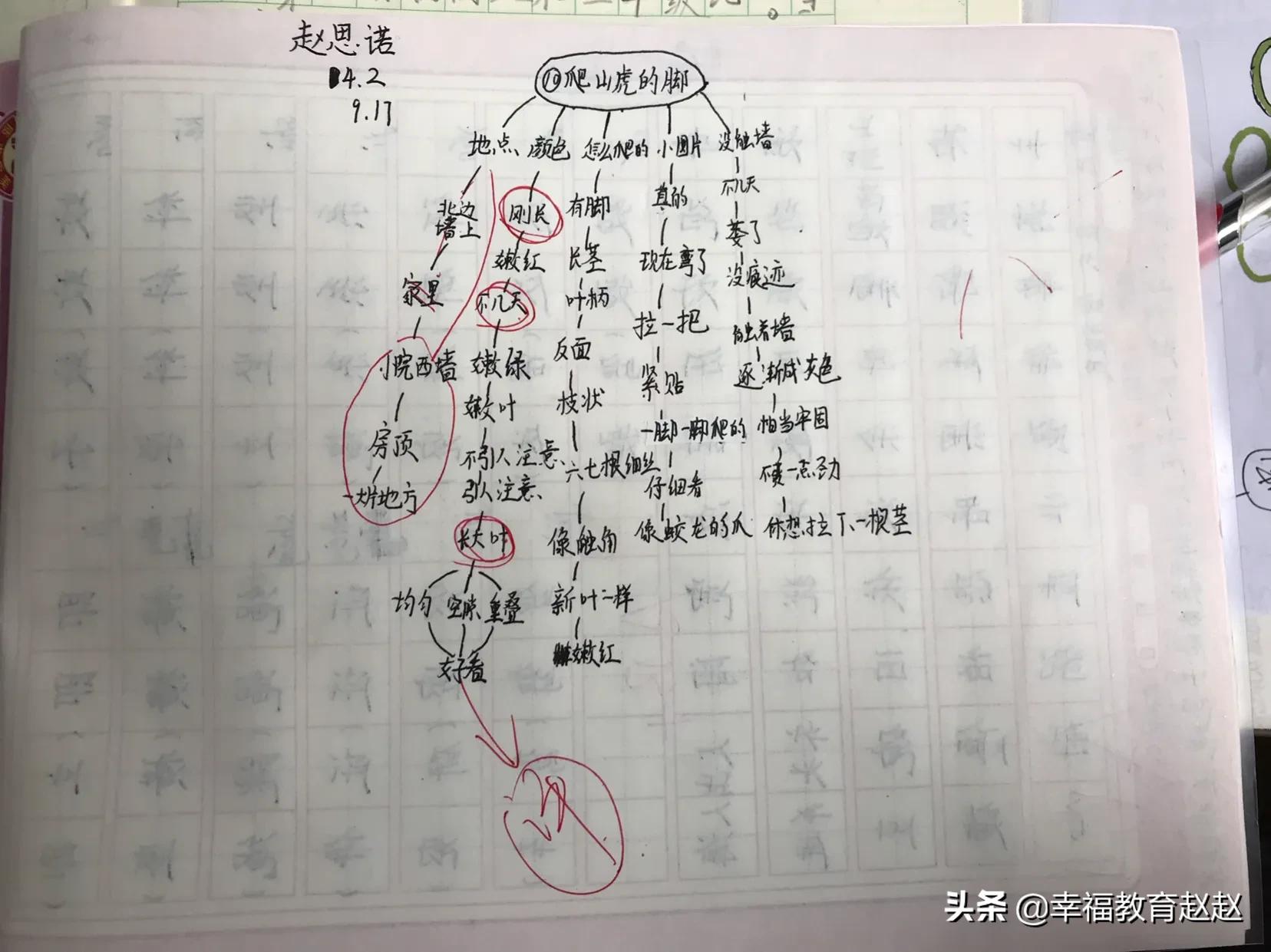 爬山虎的脚思维导图怎么画图片,爬山虎的脚思维导图绘画过程