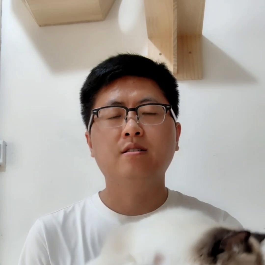 养猫喂生骨肉还是猫粮,养猫最好的喂养方式