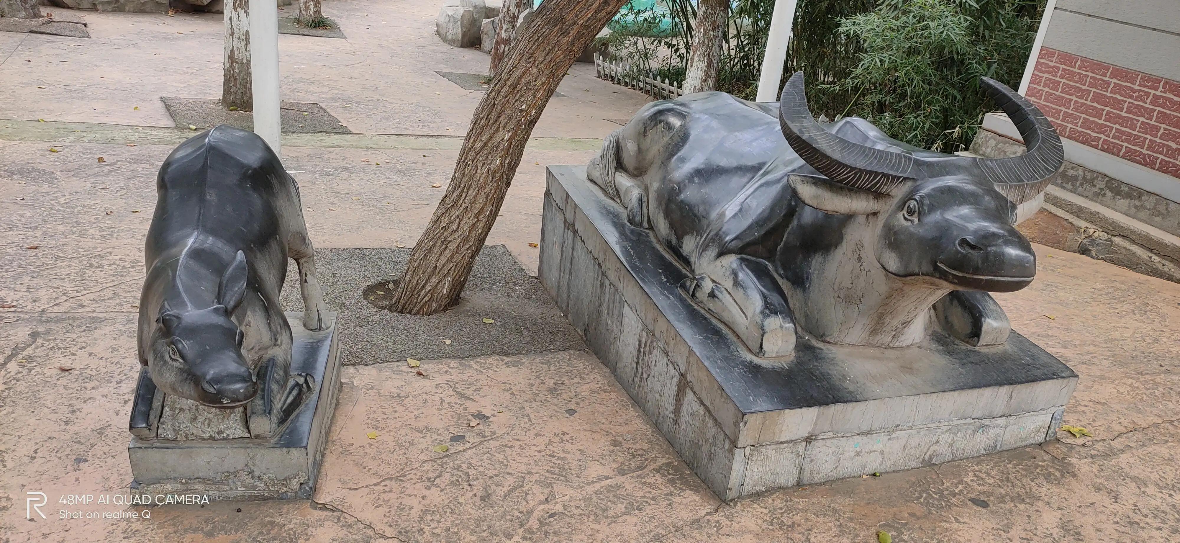 徐州彭祖园森林探险,徐州彭祖园名人石像