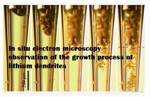 锂枝晶形成机制,锂枝晶生长机理视频