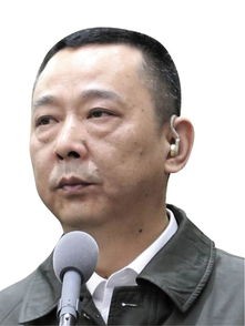 证人指证刘汉庭审视频,刘汉兄弟被审视频