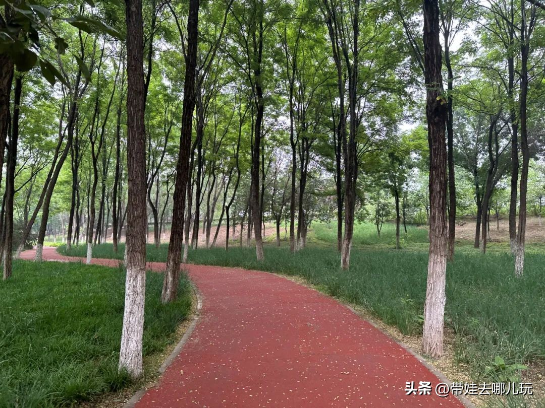 可搭帐篷公园,可以骑车搭帐篷的公园