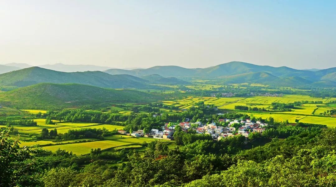 安徽宿州埇桥区今天的信息,安徽省宿州市埇桥区简介