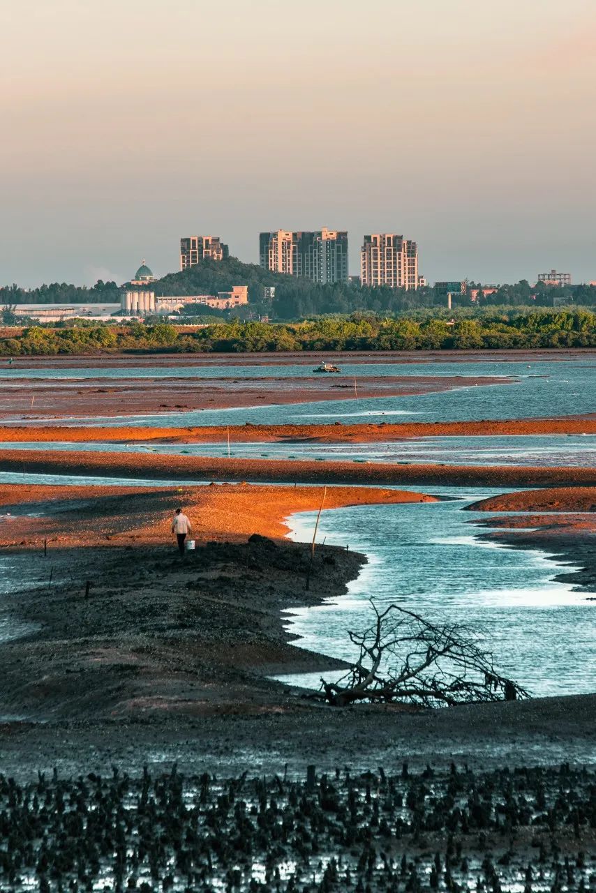 美食之都潮汕,广东茂名的特色美食水果