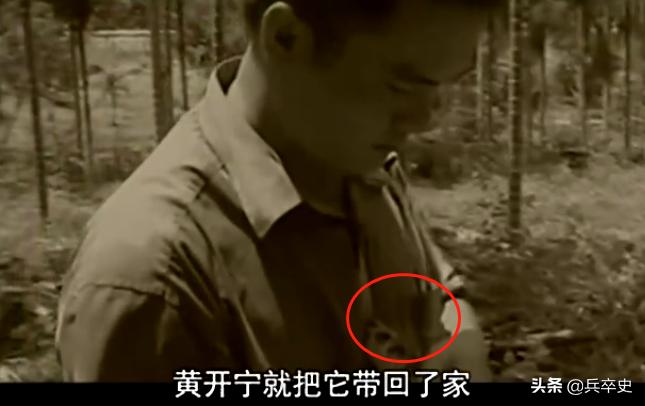 六七十年代海南巨蟒事件,1996年蟒蛇报恩甘愿当保姆