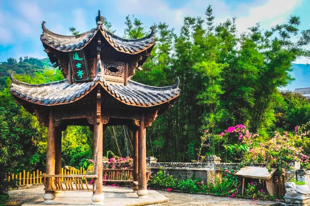 广州摘荔枝一日游最佳路线,从化自驾游荔枝采摘园