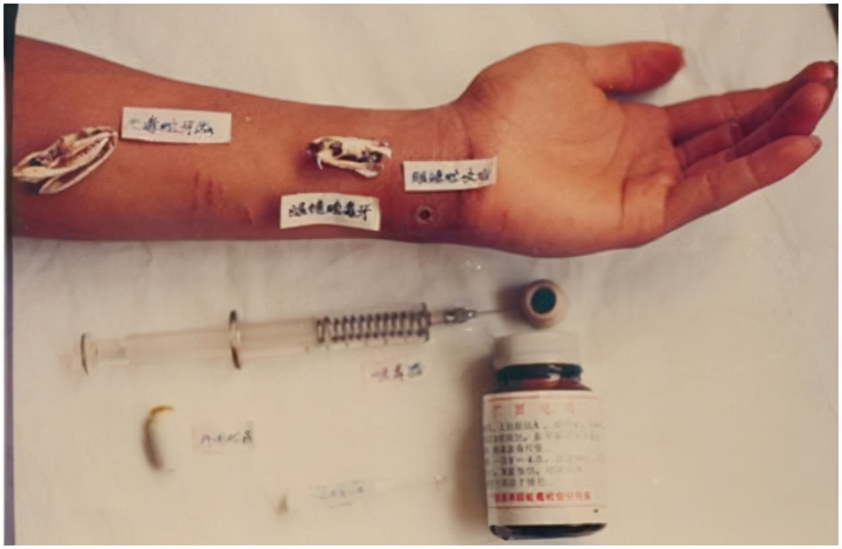 广西养蛇人视频,养蛇人最怕的毒蛇