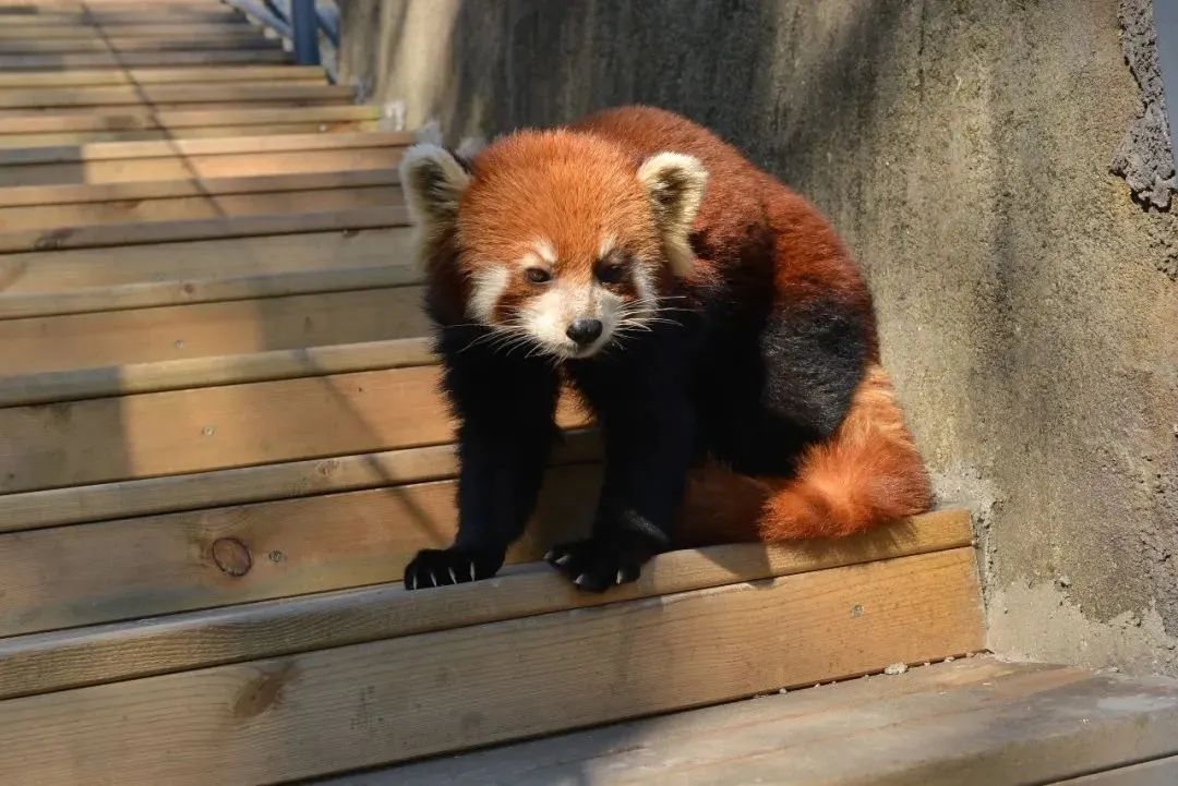 浙江市区度假酒店推荐,浙江轻奢酒店值得推荐