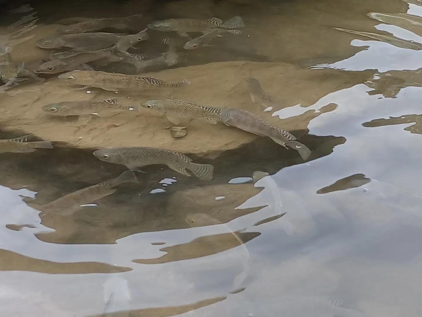 白云湖公园一日游推荐,香山公园附近一日游