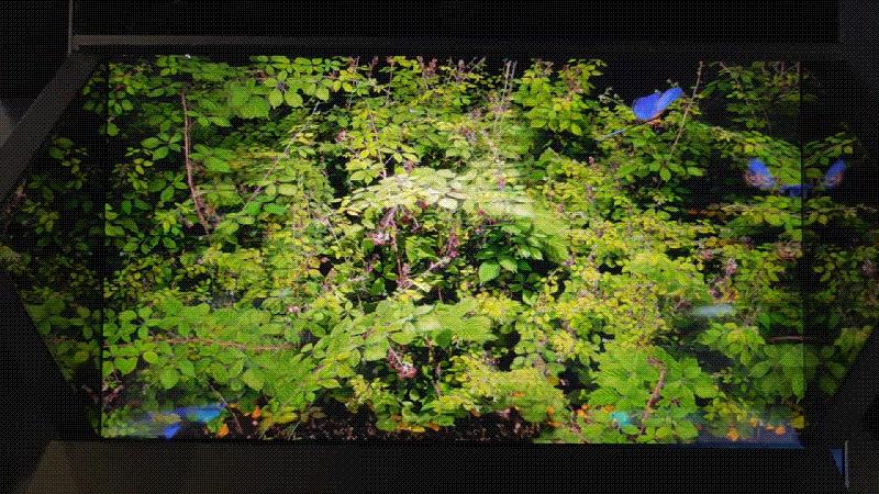 AWE2023关于电子厨电家电，都有哪一些好玩的新东西？