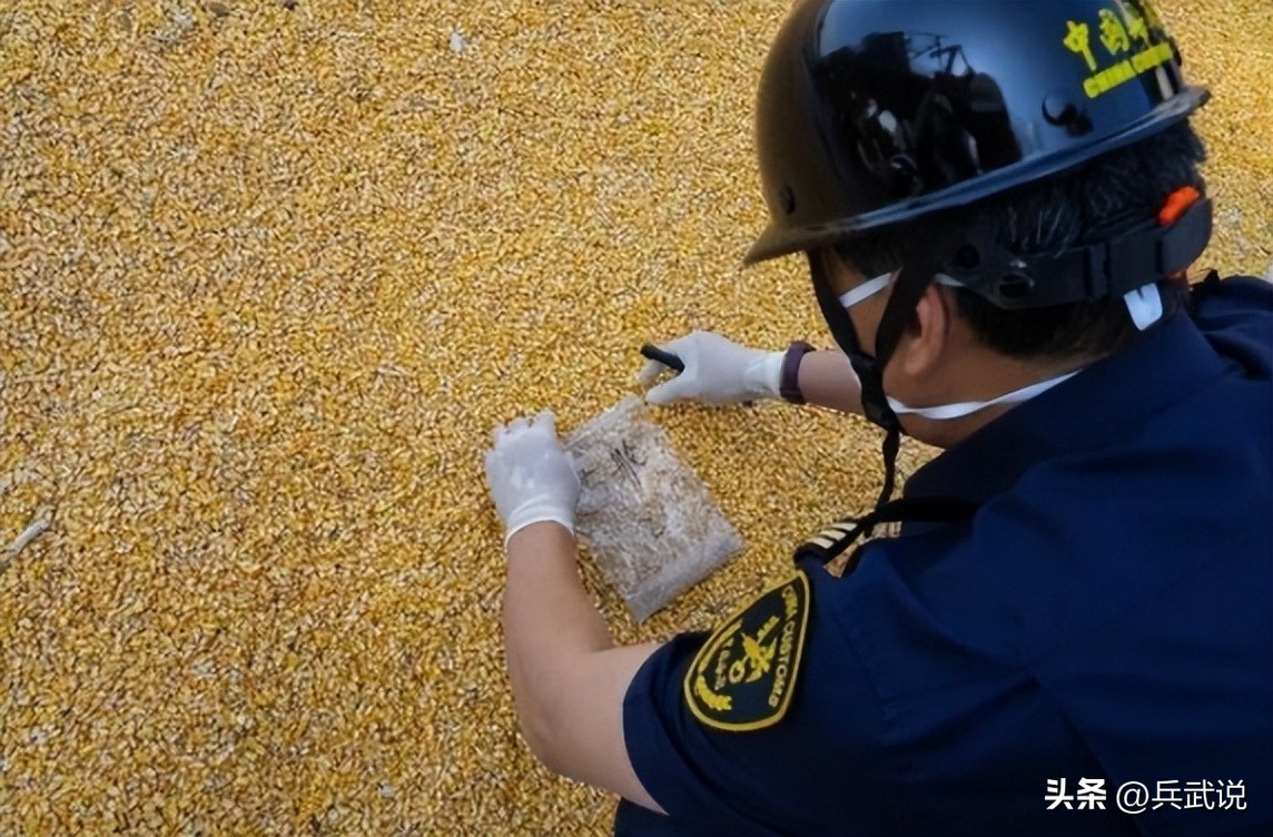 中国与美国最新签订的玉米订单,进口美国玉米最新政策