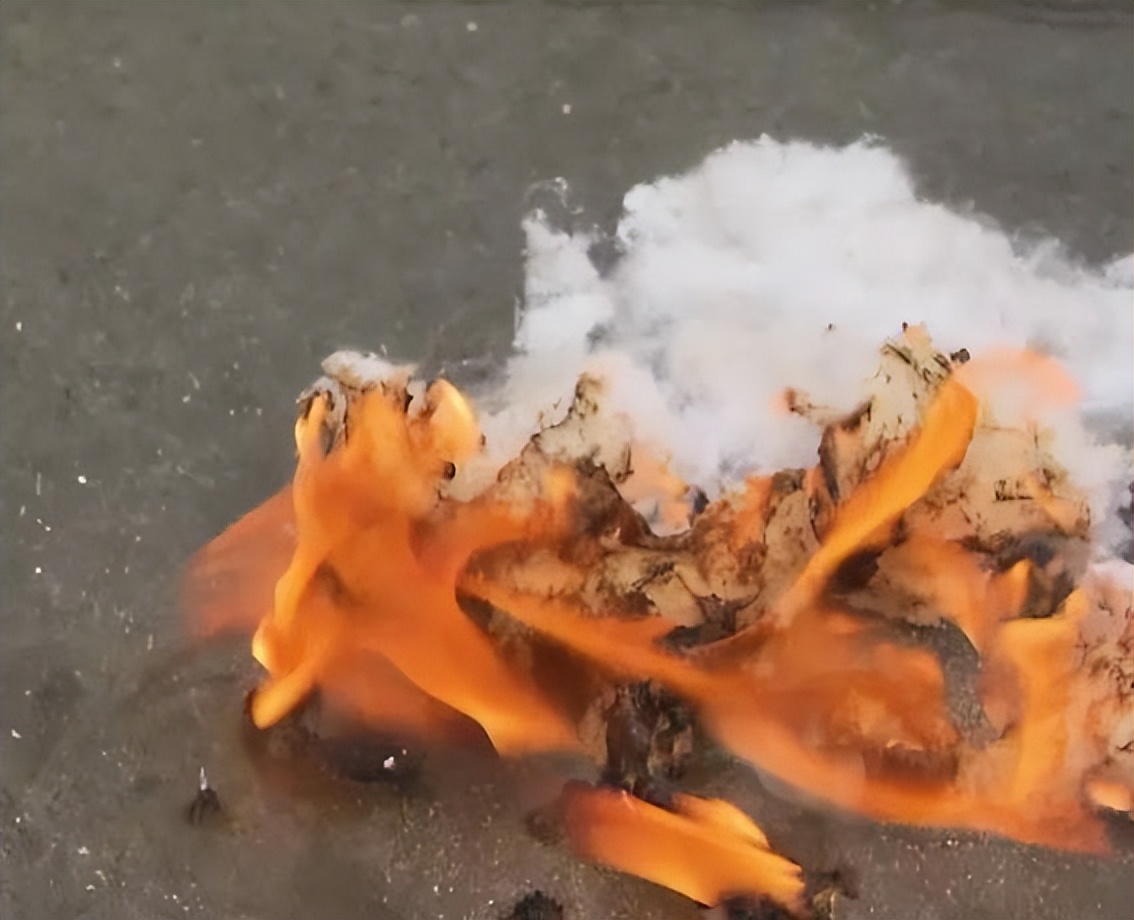 国新智创科技有限公司,黑心棉国产车