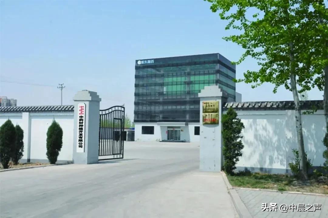 山西振东集团被罚最新消息,山西振东集团年产值