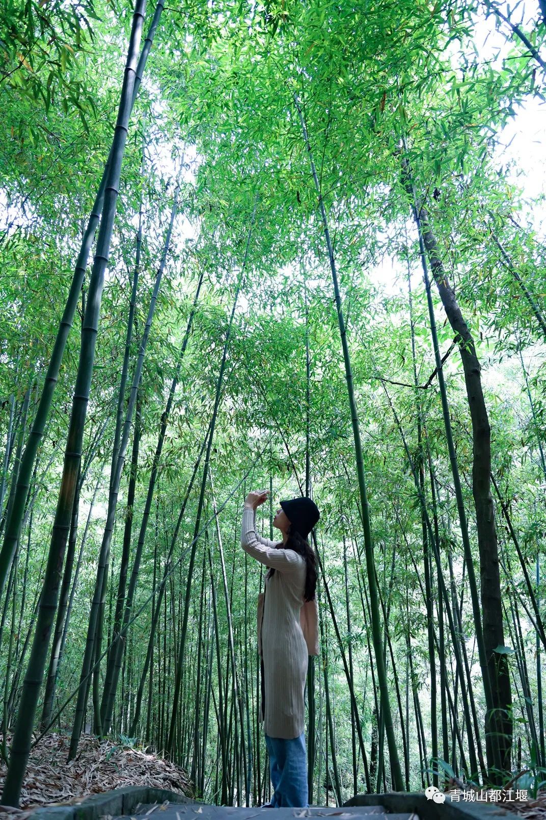 水灵妹旅行攻略,水灵妹旅游景点