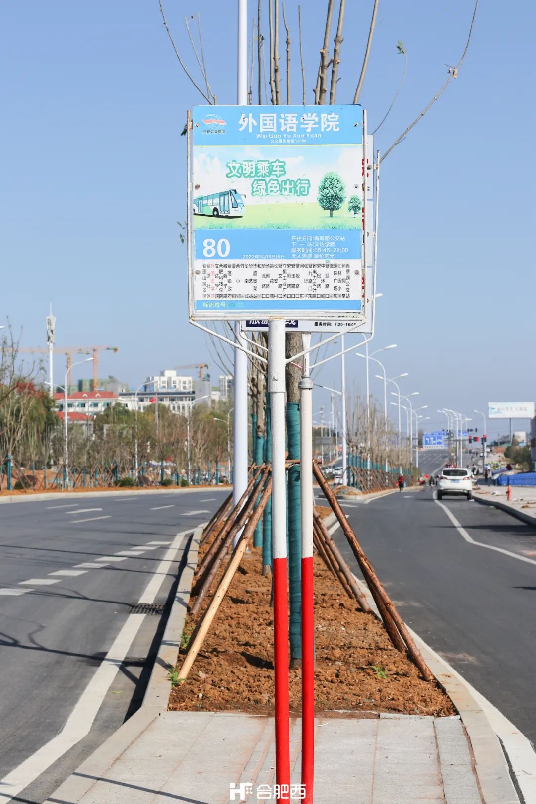 合肥最好的大学城,合肥最大的大学城