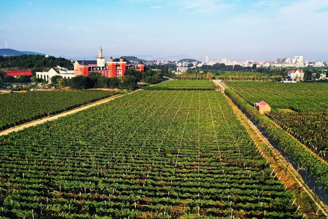 俄乌冲突俄罗斯损失多少人口,俄乌冲突俄罗斯人口增加多少