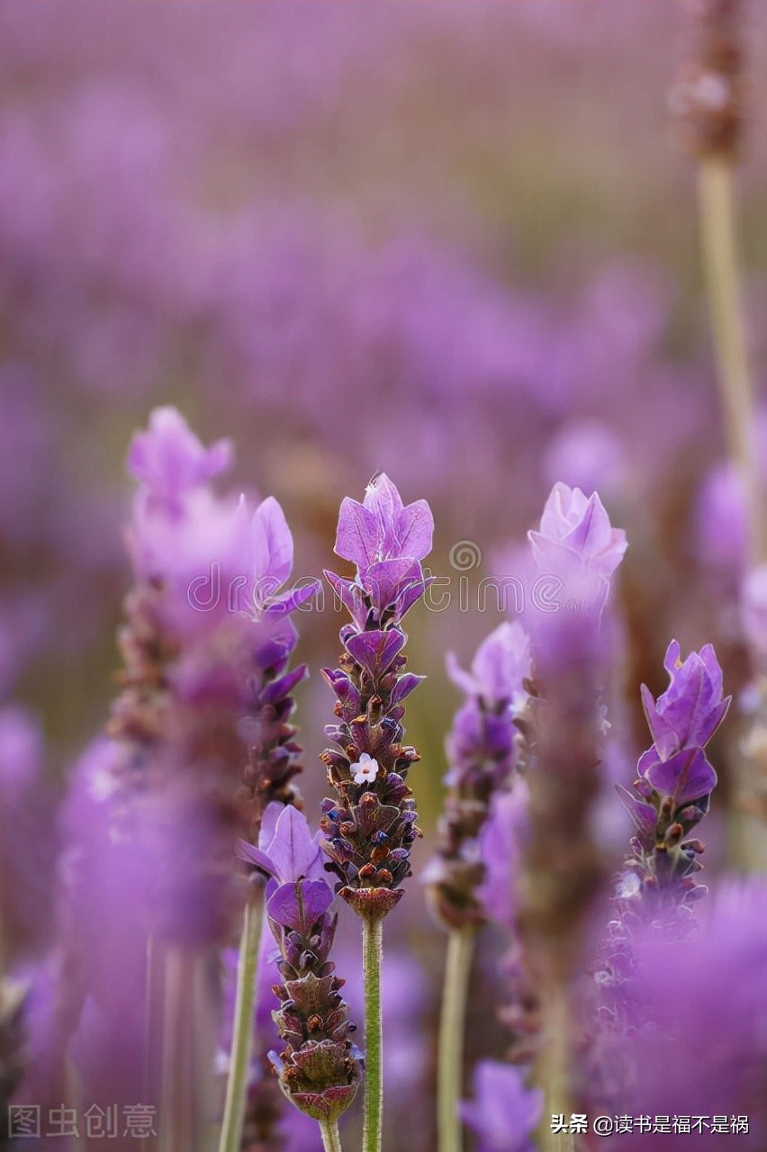 国学经典之《汉书》导读第二百七十三讲:志·五行志中二