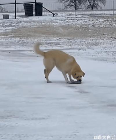 曝光被骗的聊天记录搞笑,曝光聊天记录事件