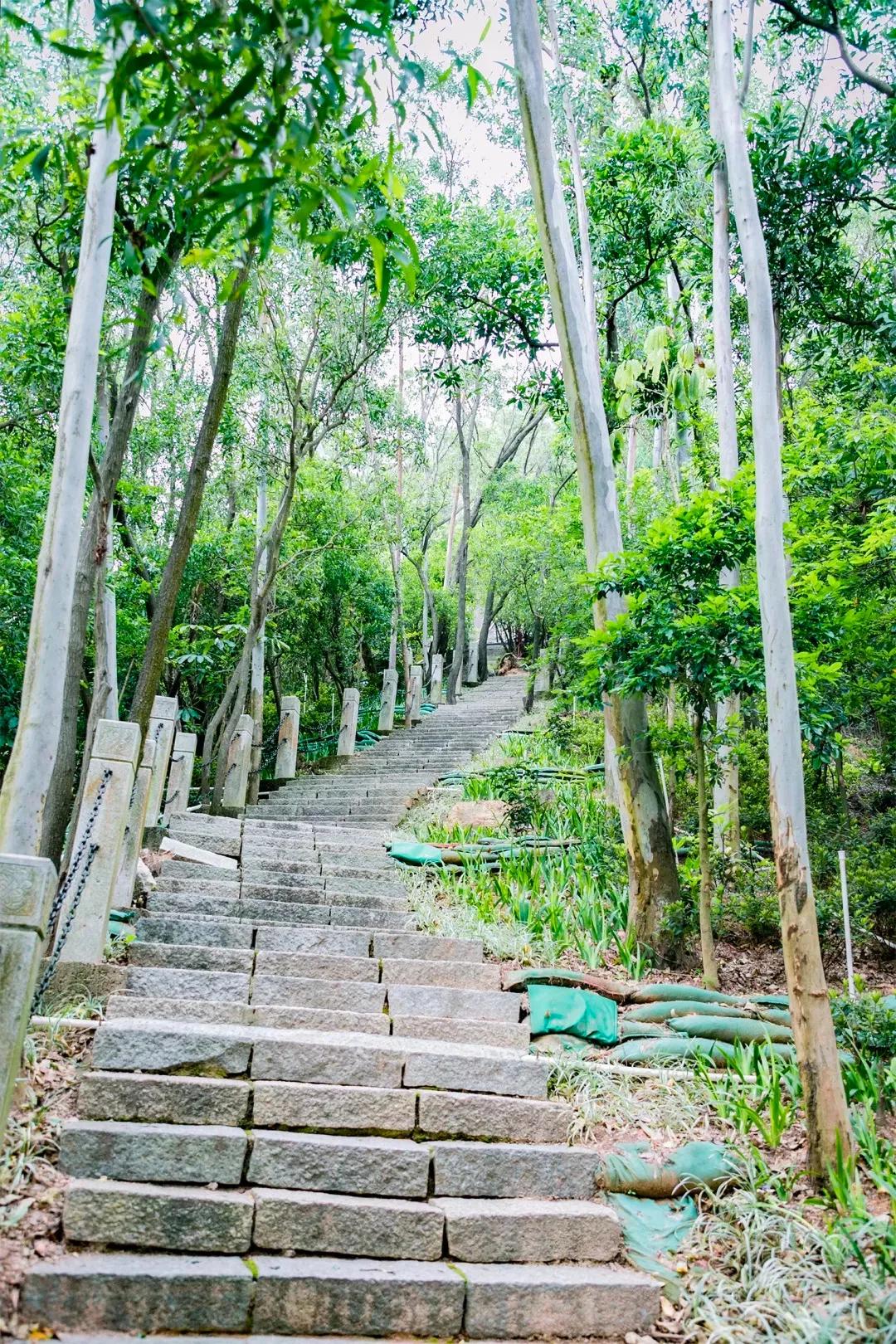 深圳最值得爬的景点,深圳十大最值得爬的山