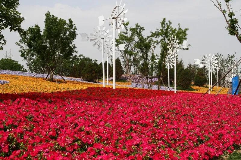 辽宁锦州世博园旅游,辽宁锦州世博园