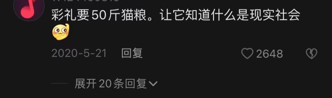 渣猫被小母猫找上门,渣猫出门被老婆抓