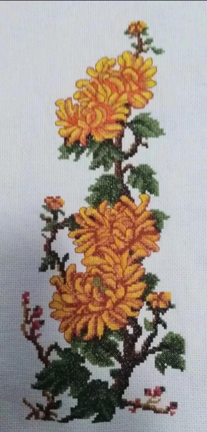 我的业余爱好介绍,我的业余爱好英语