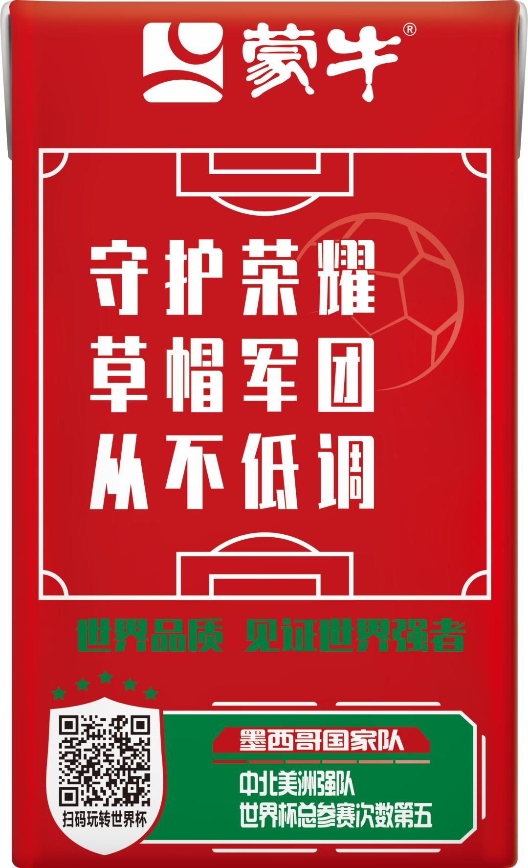 世界杯足球员故事,世界杯队长纪录片第四集