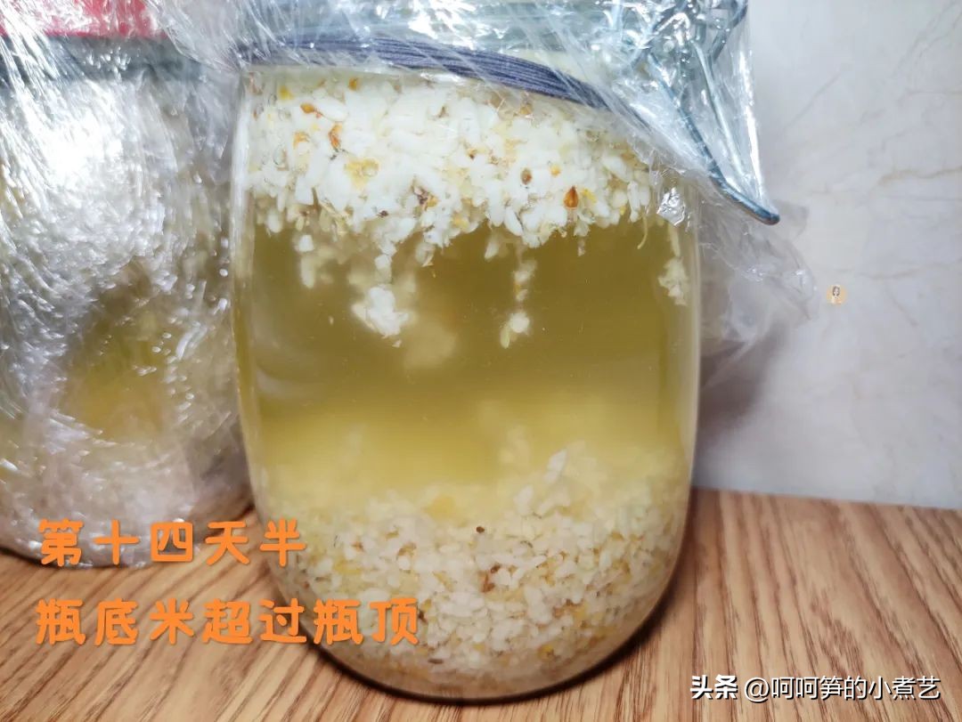 桂花米酒酒香浓郁,中秋桂花酒怎么酿得好