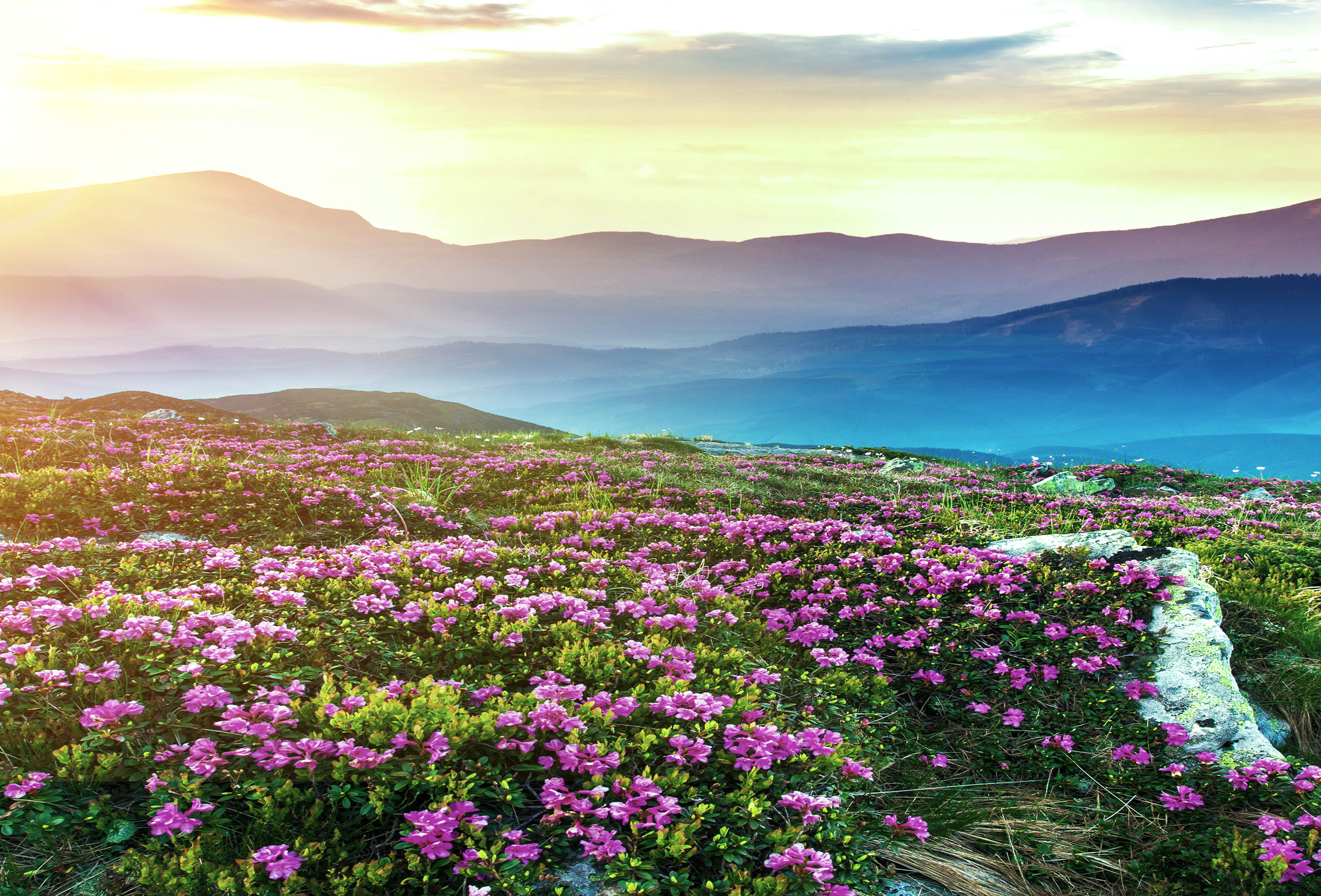 关于春天的100首经典诗词,十首诗词最懂春天的美