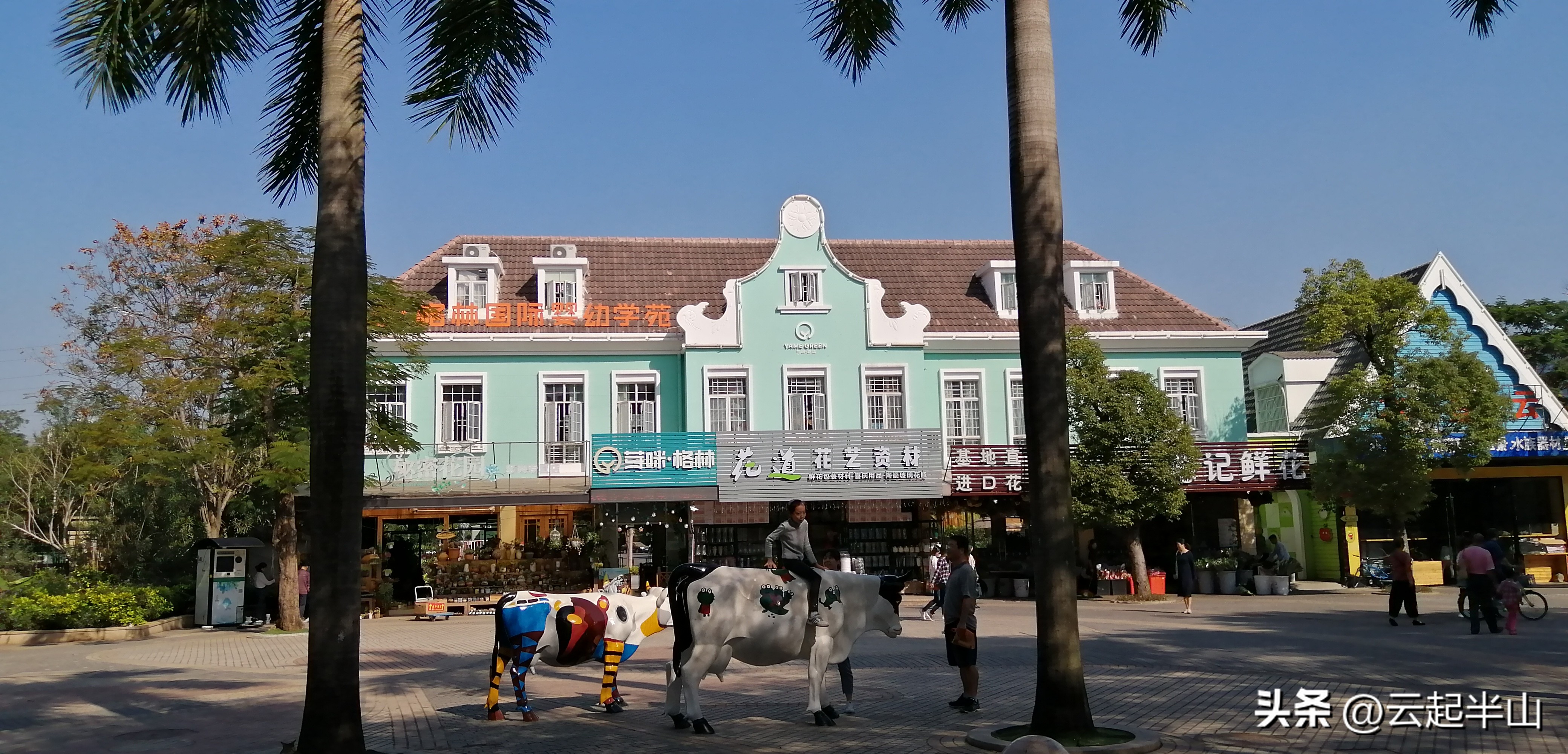 浅浅地玩、深深的圳