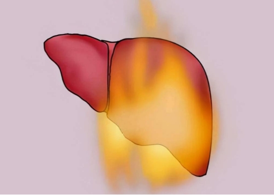 补充叶酸和维生素B6，可有效预防脑梗死，科学服用注意4点