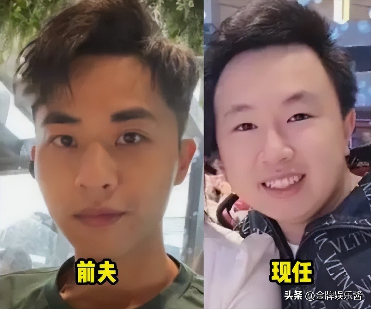 香港蔡天凤个人资料及简历,港媒曝蔡天凤真实身份