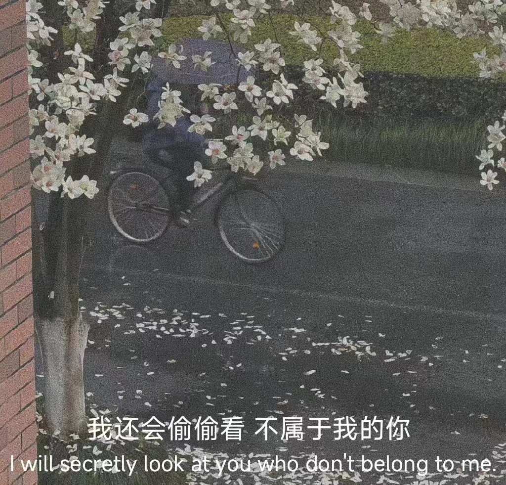 文案最火的句子幽默伤感,句句走心的情感句子伤感文案