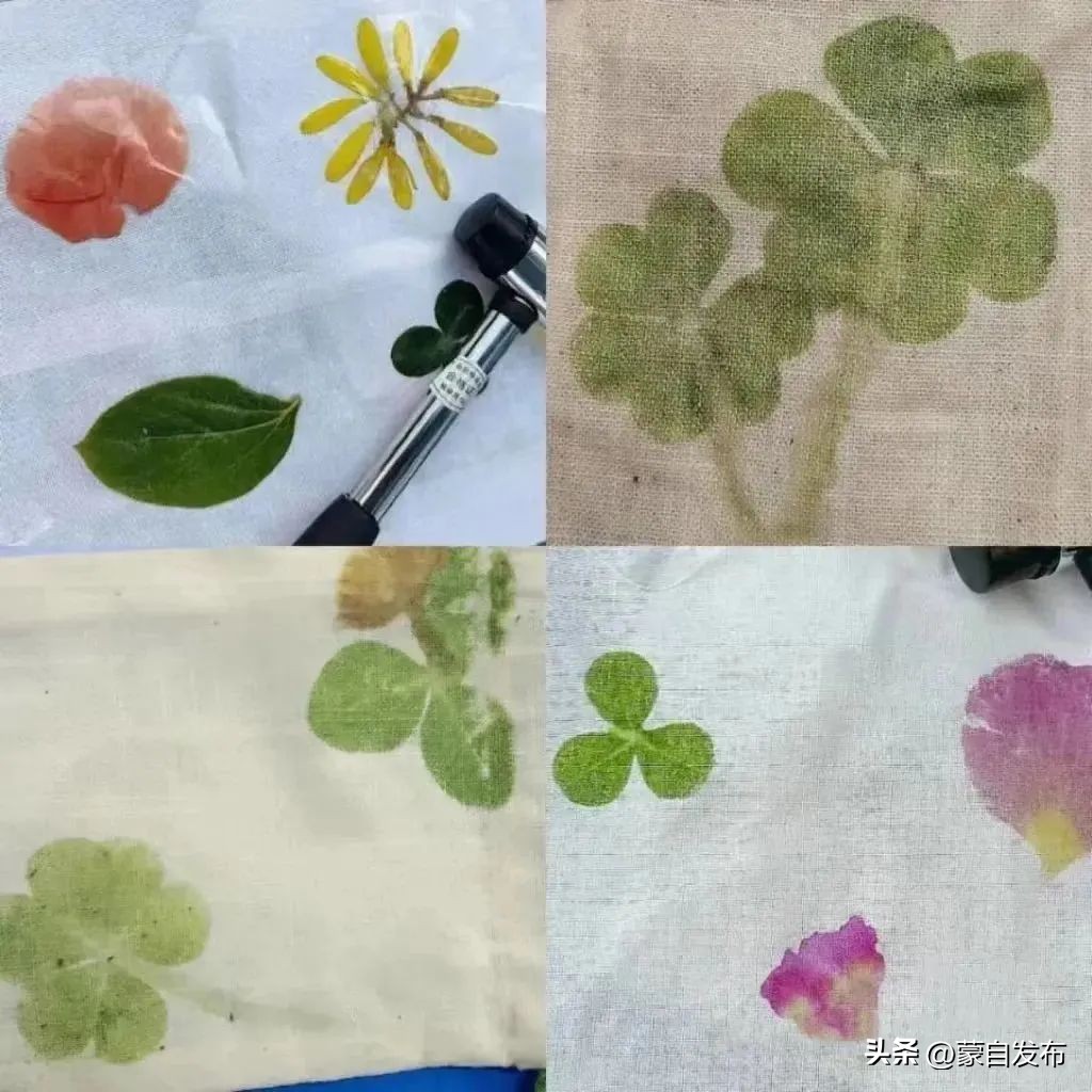 美食、乐队、集市...超多活动精彩来袭！这个“五一”玩转蒙自