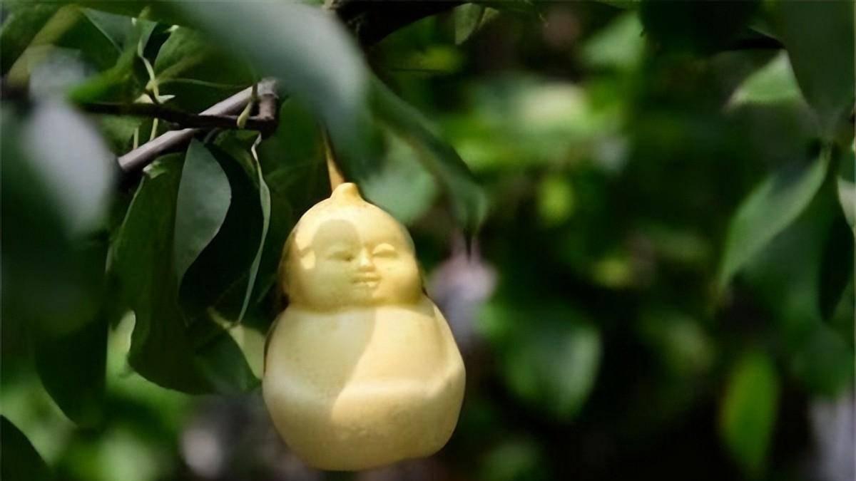 王母蟠桃和人参果哪个更好,西王母蟠桃是什么